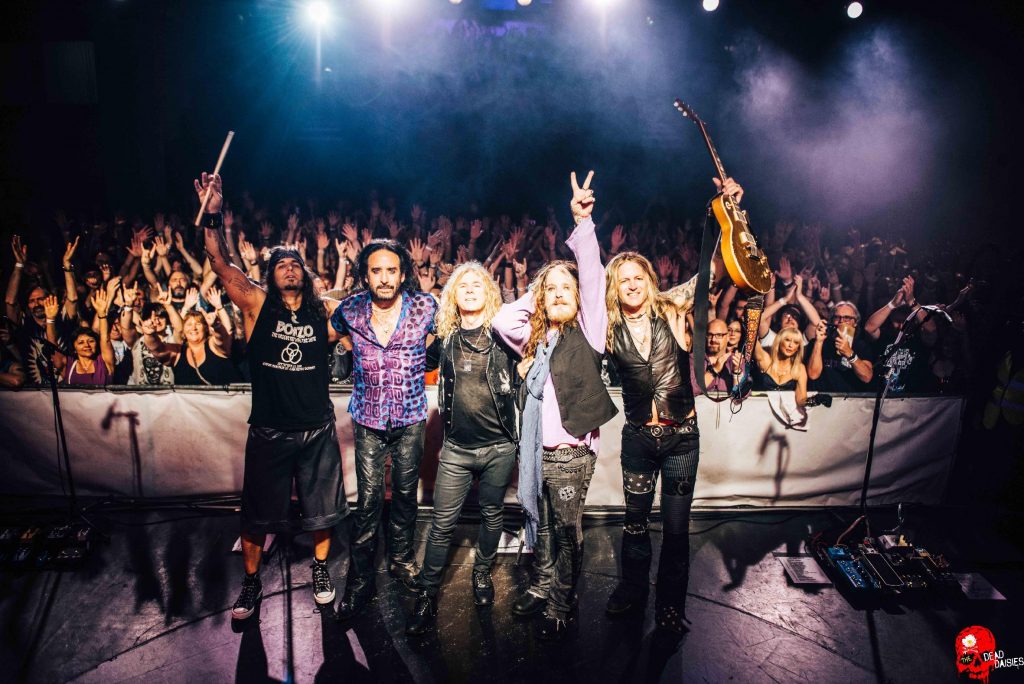 the dead daisies